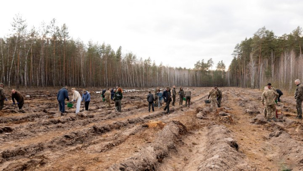 "Ліс пам'яті" висадили на Чернігівщині