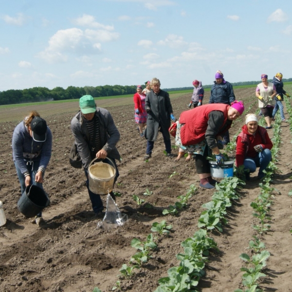 Внутрішні потреби забезпечуються власною городиною