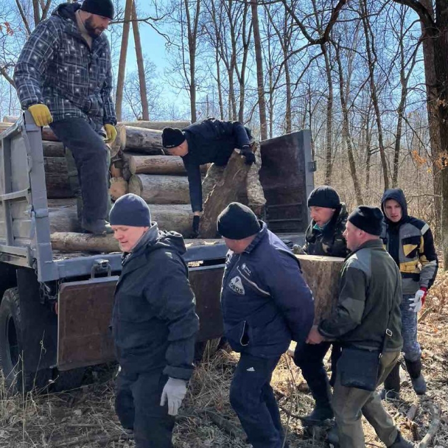 Дрова для критичної інфраструктури